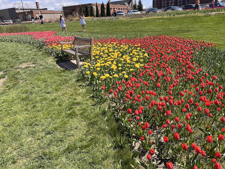 Holland Michigan 49423