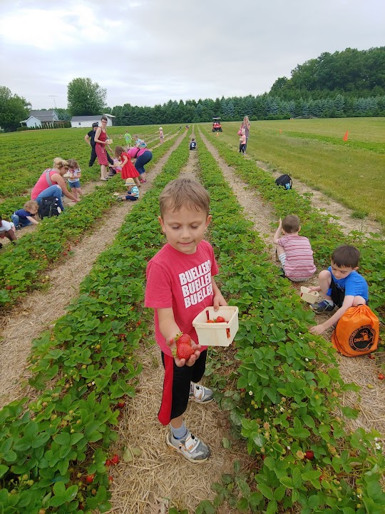 Krupp Farms